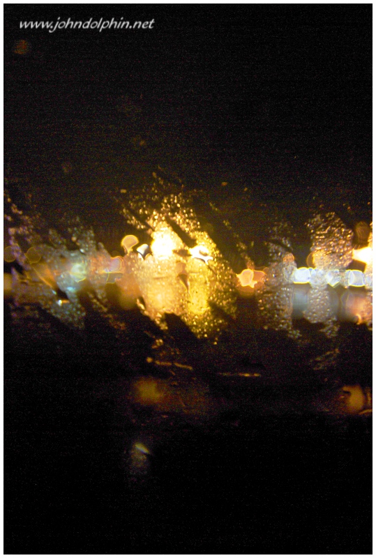 lights and rain