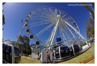 Perth observation wheel 3