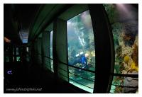 Baltimore Aquarium 5