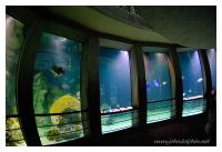 Baltimore Aquarium 4