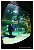 Baltimore Aquarium 2